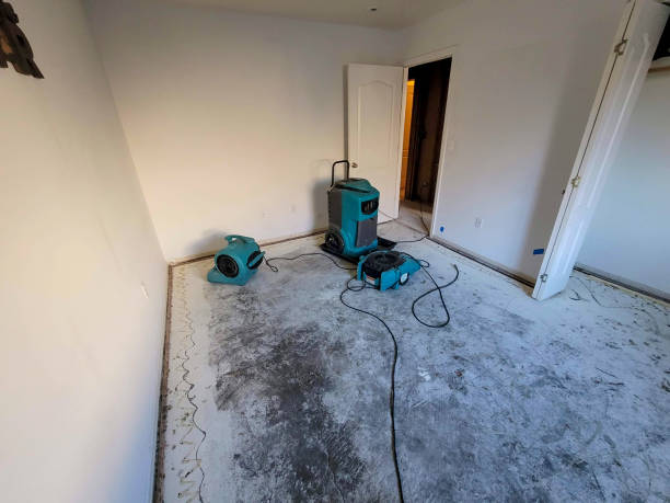 Best Ceiling water damage repair  in Crossville, AL