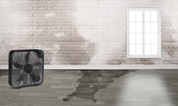 Best Commercial water damage restoration  in Crossville, AL