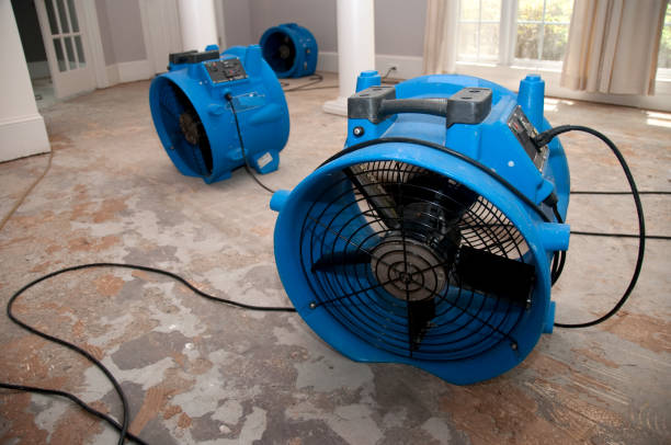  Crossville, AL Water damage restoration Pros