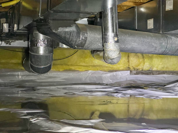 Best Water damage mitigation services  in Crossville, AL