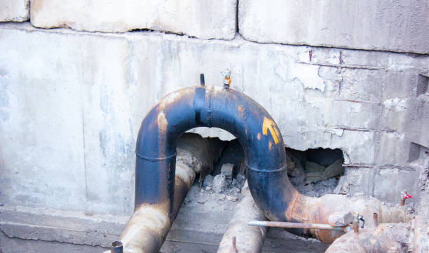 Best Basement water damage restoration  in Crossville, AL
