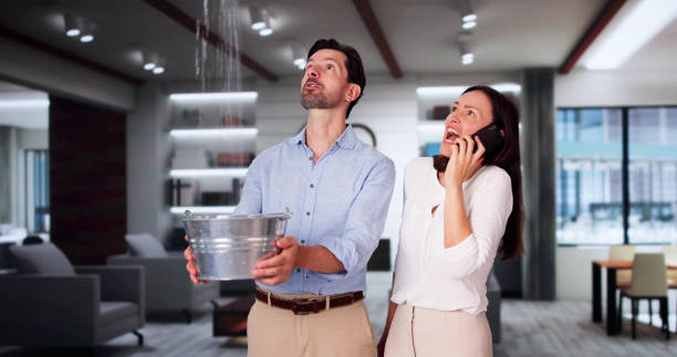 Best Water damage restoration near me  in Crossville, AL